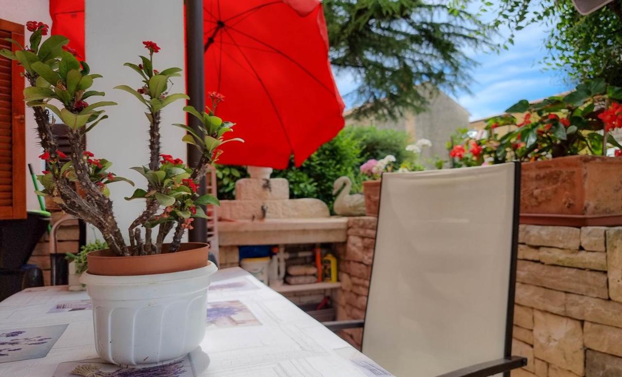 Valentino Apartman Novigrad Istria Kültér fotó